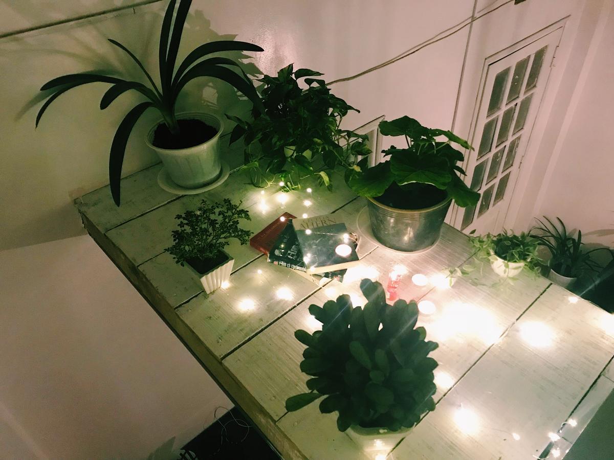 The Balcony Bnb Đà Lạt Exterior foto